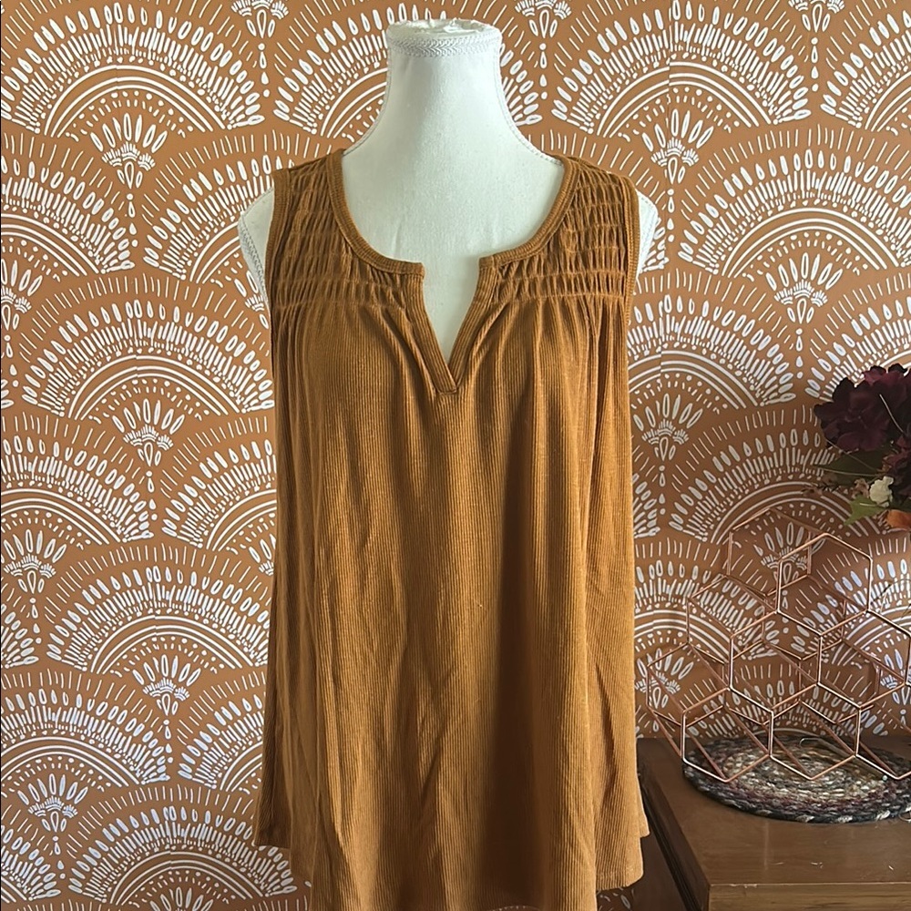 Wonderly Sleeveless Brown Top